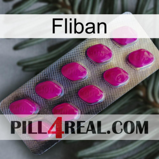 Fliban 09